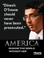 Legal experts have slammed the sentence imposed on filmmaker Dinesh D'Souza for federal campaign-finance violations.